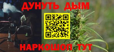 сатива Будённовск