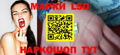 стаф Бугуруслан