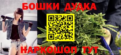 сатива Будённовск