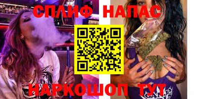 сатива Будённовск