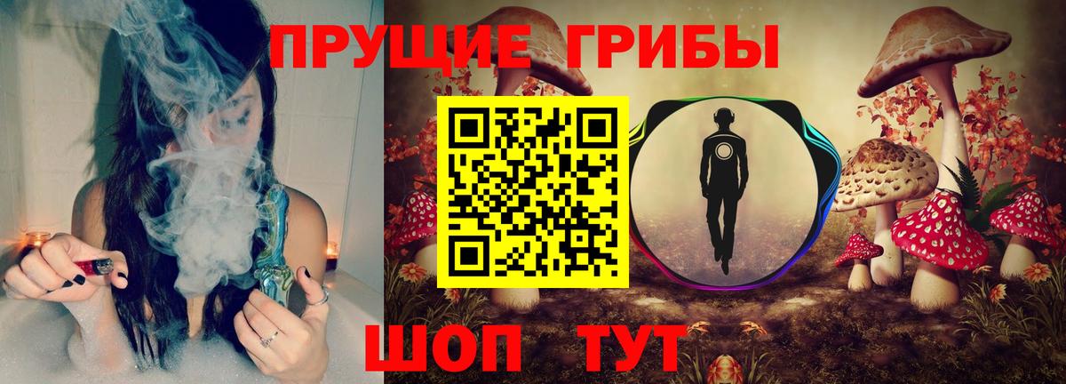 Псилоцибиновые грибы прущие грибы  Галлюциногенные грибы прущие грибы  Вход с VPN  Нарткала 
